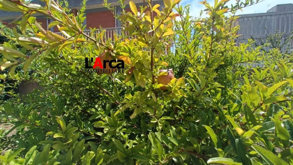 Villa in vendita ad Alessano - foto 5