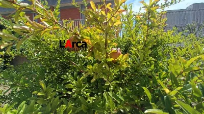 Villa in vendita ad Alessano - foto 5