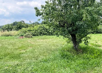 Villa in vendita ad Altopascio - foto 7