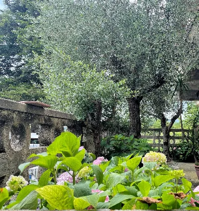 Villa in vendita ad Altopascio - foto 8