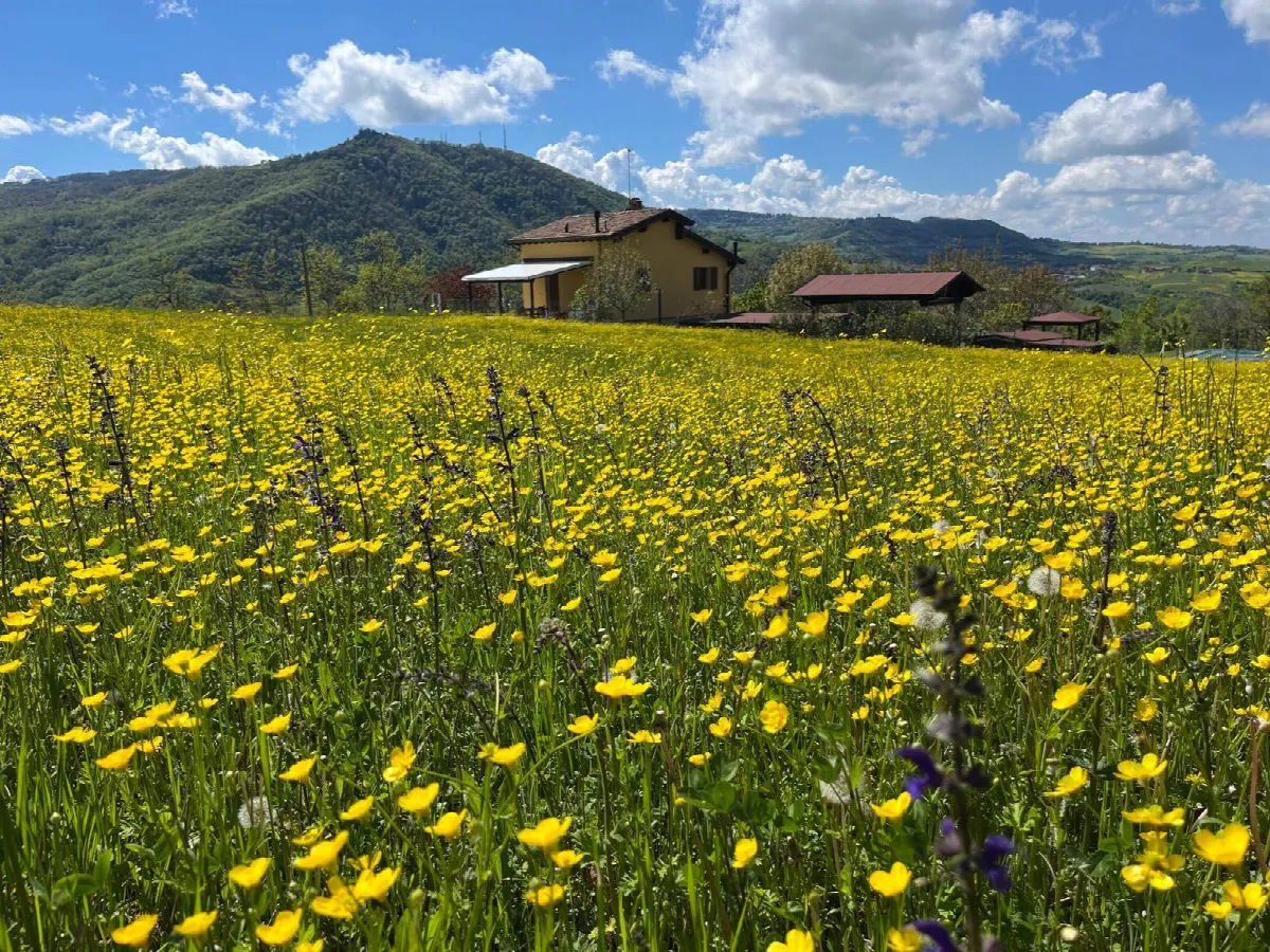 Villa in vendita a Serramazzoni - foto 4
