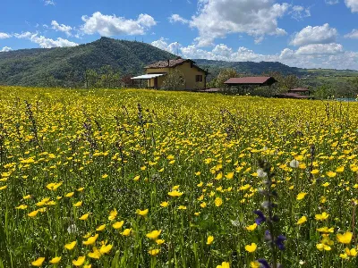 Villa in vendita a Serramazzoni - foto 4