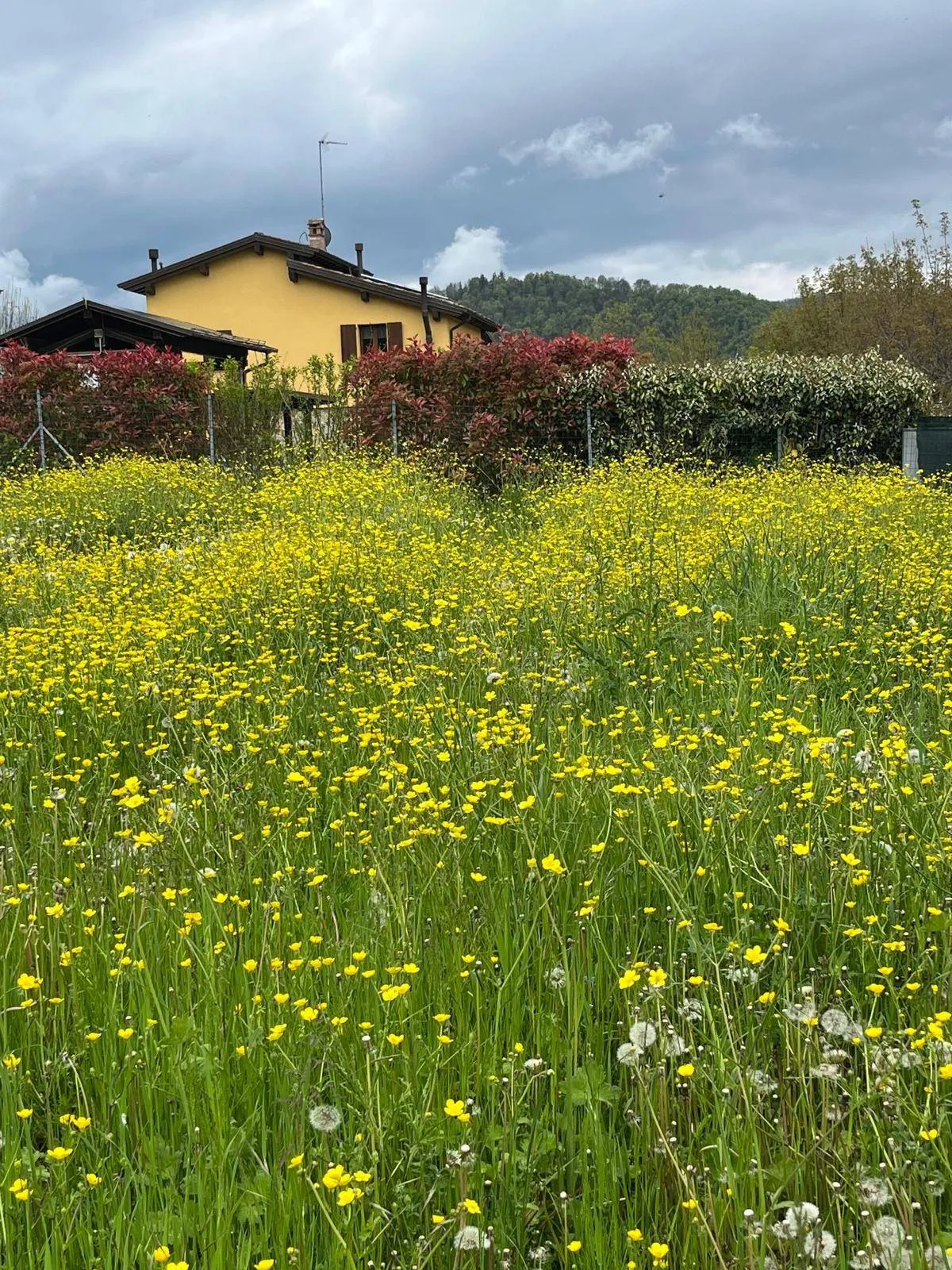 Villa in vendita a Serramazzoni - foto 5