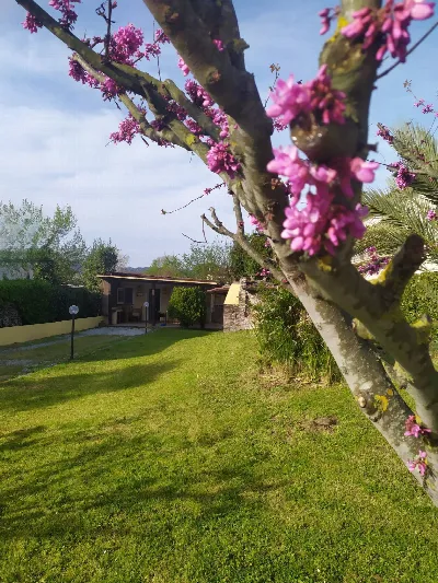 Villa in vendita a Camaiore - foto 2