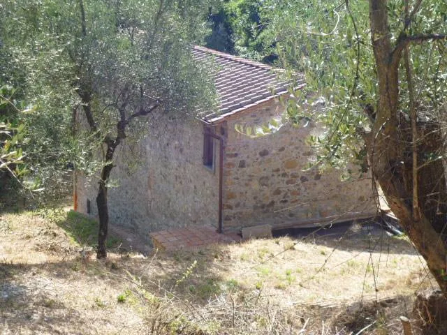 Rustico/Casale in vendita a Massarosa - foto 3