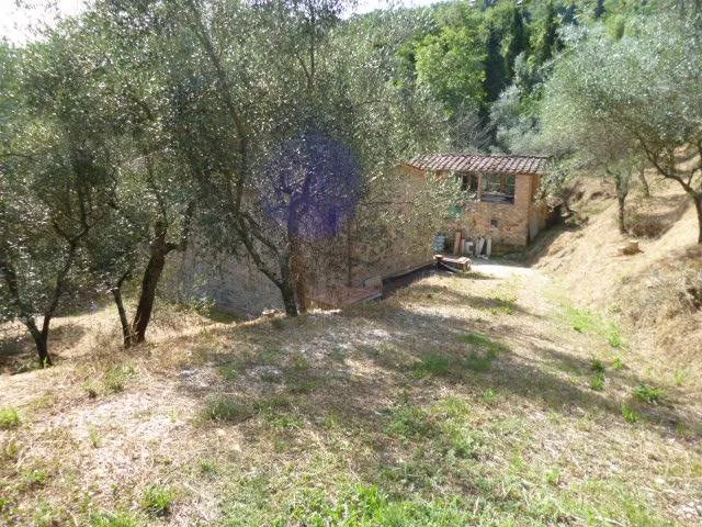Rustico/Casale in vendita a Massarosa - foto 5