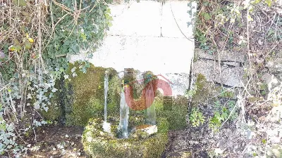 Rustico/Casale in vendita a Riccia - foto 5