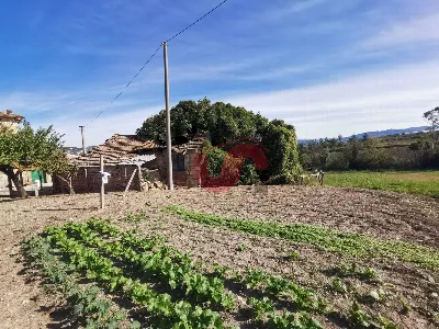 Rustico/Casale in vendita a San Nicola Man... - foto 10