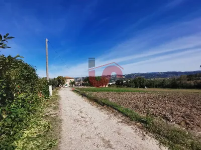 Rustico/Casale in vendita a San Nicola Man... - foto 8