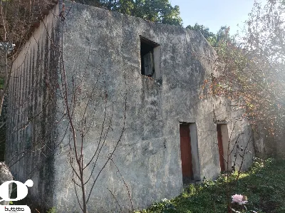Rustico/Casale in vendita a Cefalù - foto 2