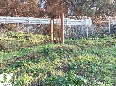 Rustico/Casale in vendita a Cefalù - foto 7