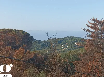 Rustico/Casale in vendita a Cefalù - foto 8