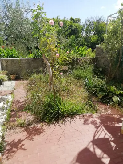 Casa Indipendente in vendita a San Filippo... - foto 6