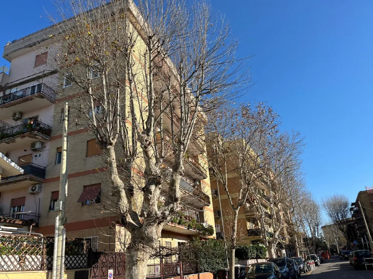 Appartamento in vendita a Ciampino - foto 3
