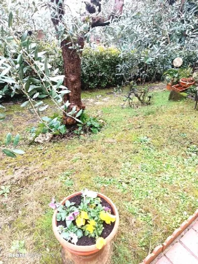 Villa in vendita a Carmignano - foto 8