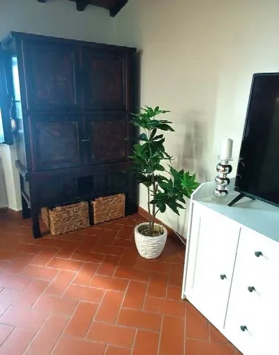 Casa Indipendente in vendita a Carmignano - foto 7