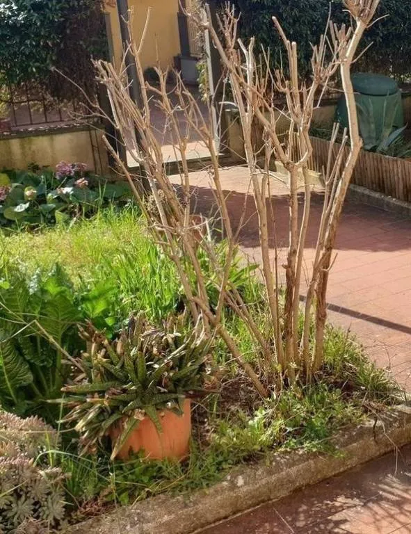 Casa Indipendente in vendita a Carmignano - foto 1