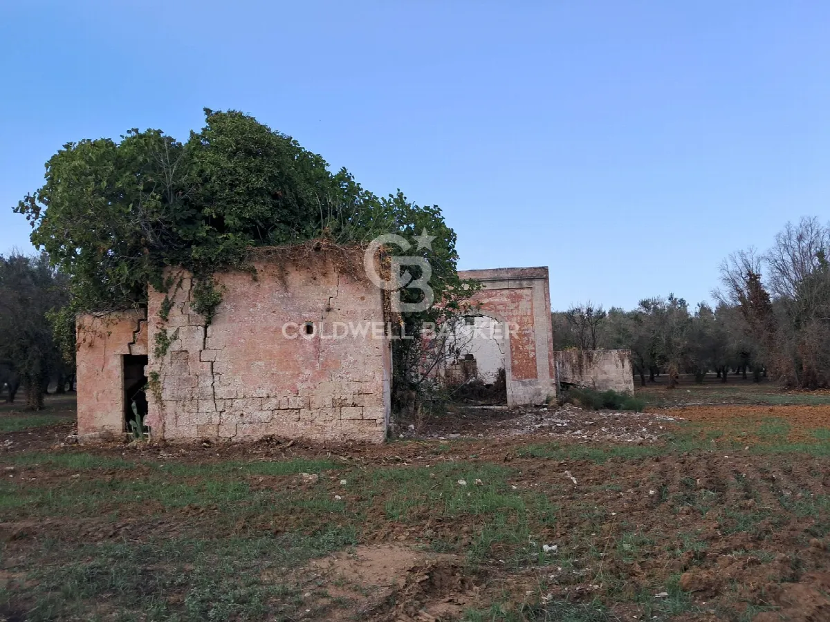 Rustico/Casale in vendita a Latiano - foto 3