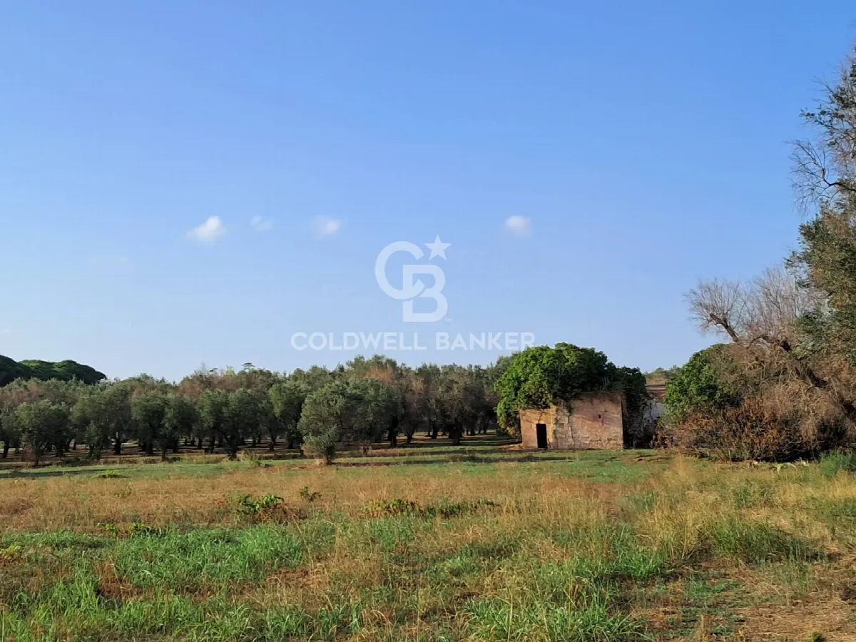 Rustico/Casale in vendita a Latiano - foto 4