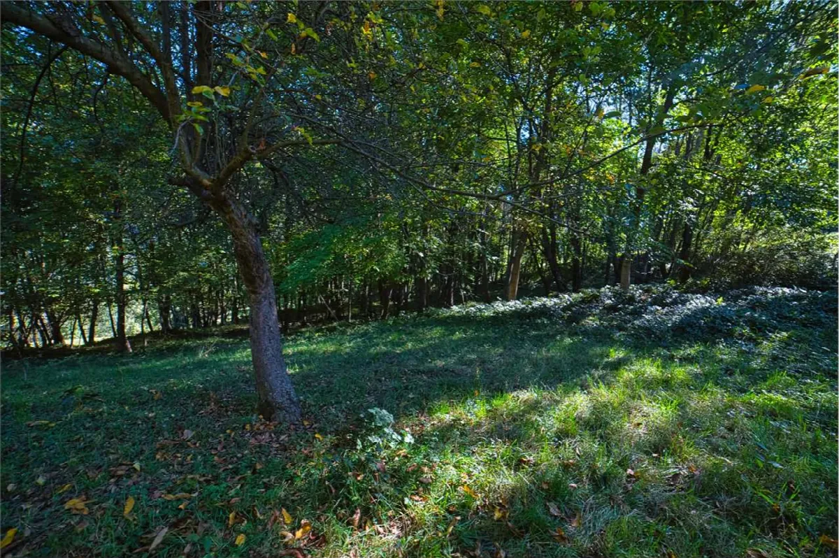 Rustico/Casale in vendita a Crodo - foto 3