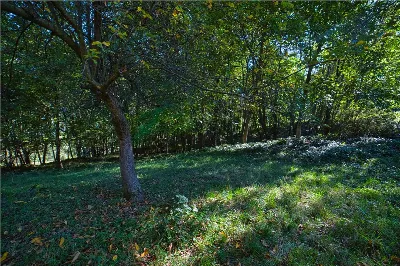 Rustico/Casale in vendita a Crodo - foto 3