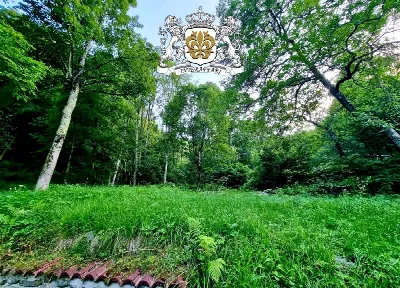 Villa in vendita a Chiusa di Pesio - foto 7
