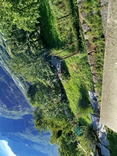 Rustico/Casale in vendita a Tresivio - foto 6