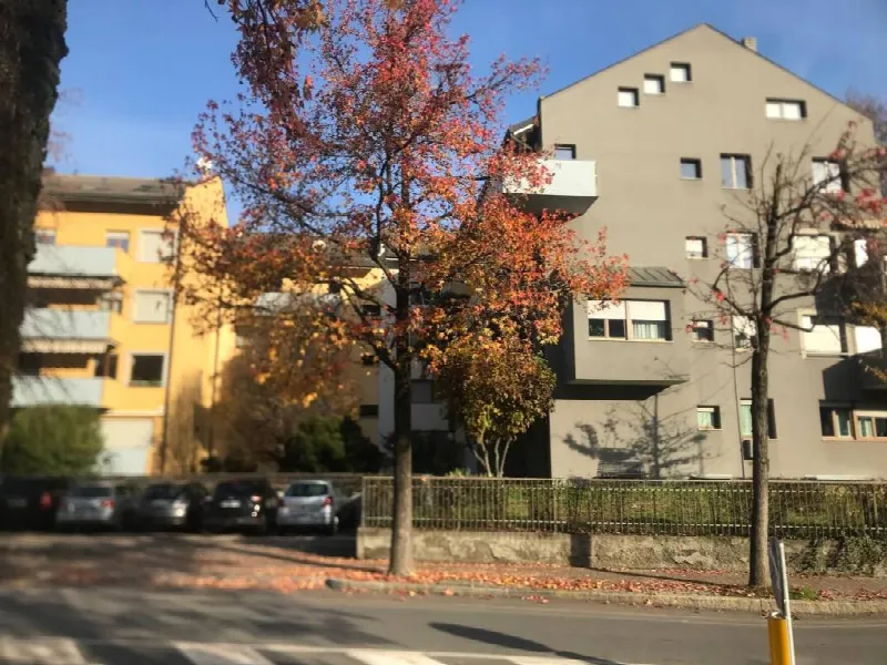 Appartamento in vendita a Sondrio - foto 1