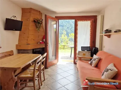 Appartamento in vendita a Vezza d'Oglio - foto 2