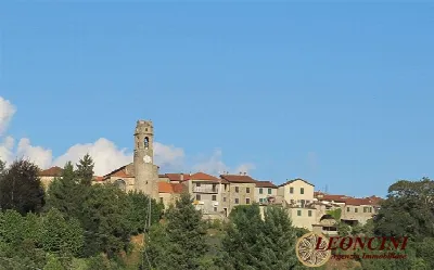 Rustico/Casale in vendita a Filattiera - foto 1