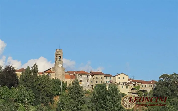 Rustico/Casale in vendita a Filattiera - foto 1