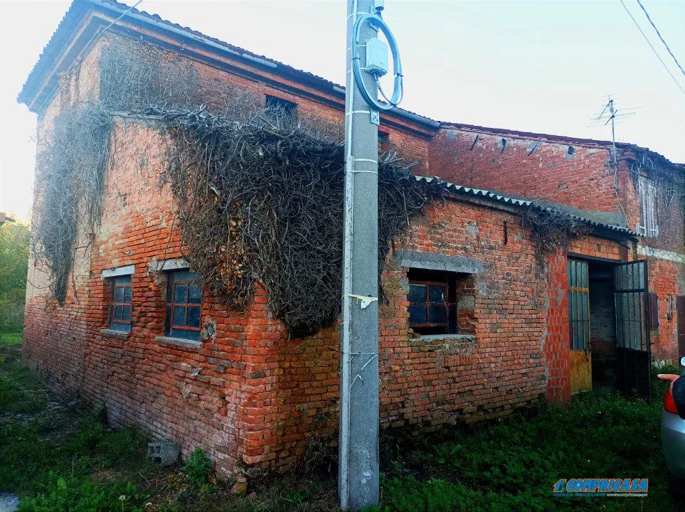 Rustico/Casale in vendita a Casale di Scodosia - foto 2