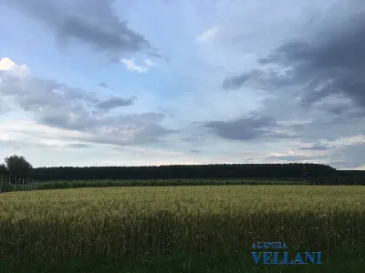 Villa in vendita a Carpi - foto 3