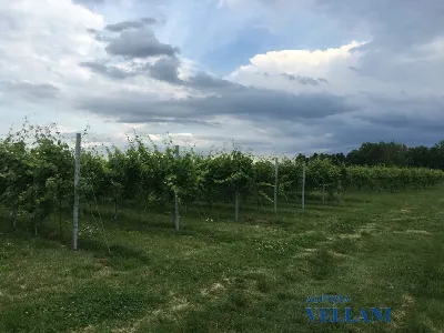Villa in vendita a Carpi - foto 6