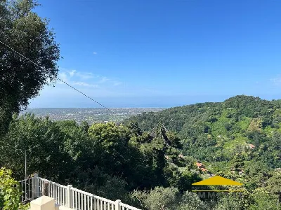 Casa Indipendente in vendita a Seravezza - foto 2