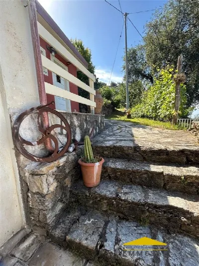 Casa Indipendente in vendita a Seravezza - foto 4