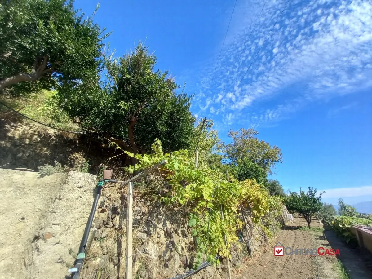 Villa in vendita a Messina, Giampilieri, Santa Margherita, Mili - foto 4
