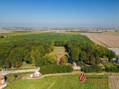 Villa in vendita a San Bellino - foto 5