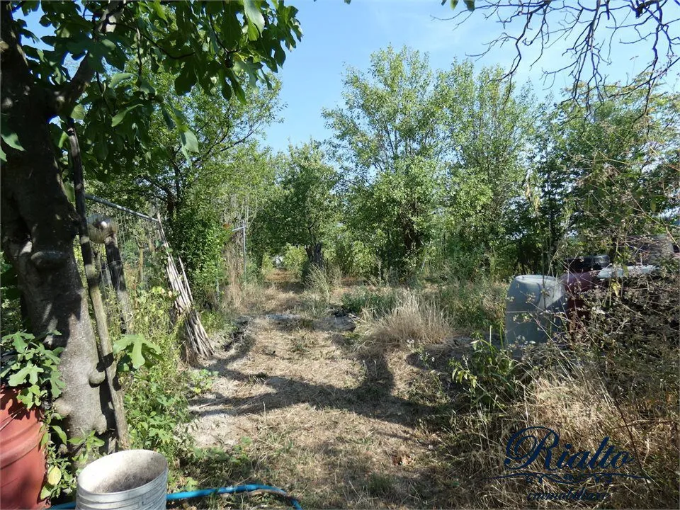 Rustico/Casale in vendita a Castelnuovo Don Bosco - foto 3