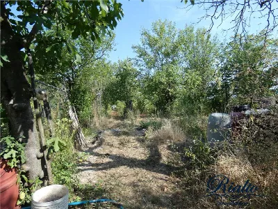 Rustico/Casale in vendita a Castelnuovo Do... - foto 3