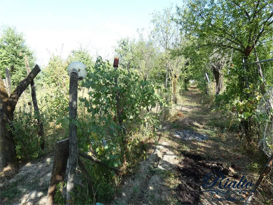 Rustico/Casale in vendita a Castelnuovo Don Bosco - foto 4
