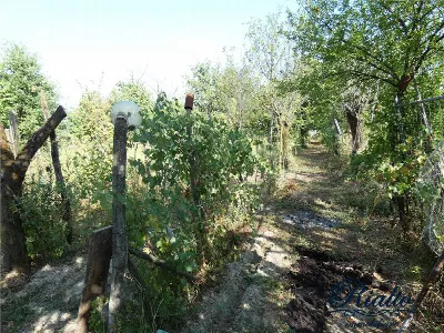 Rustico/Casale in vendita a Castelnuovo Do... - foto 4