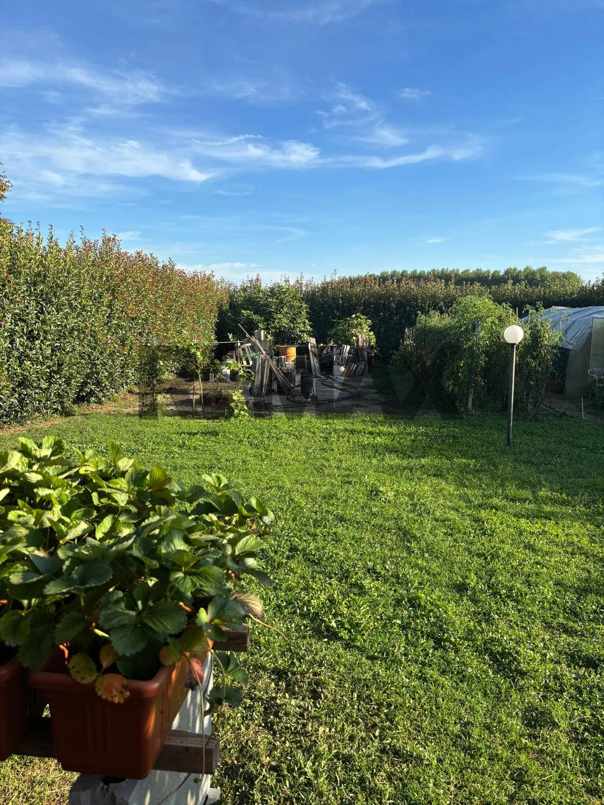 Casa Indipendente in vendita a Vische - foto 4