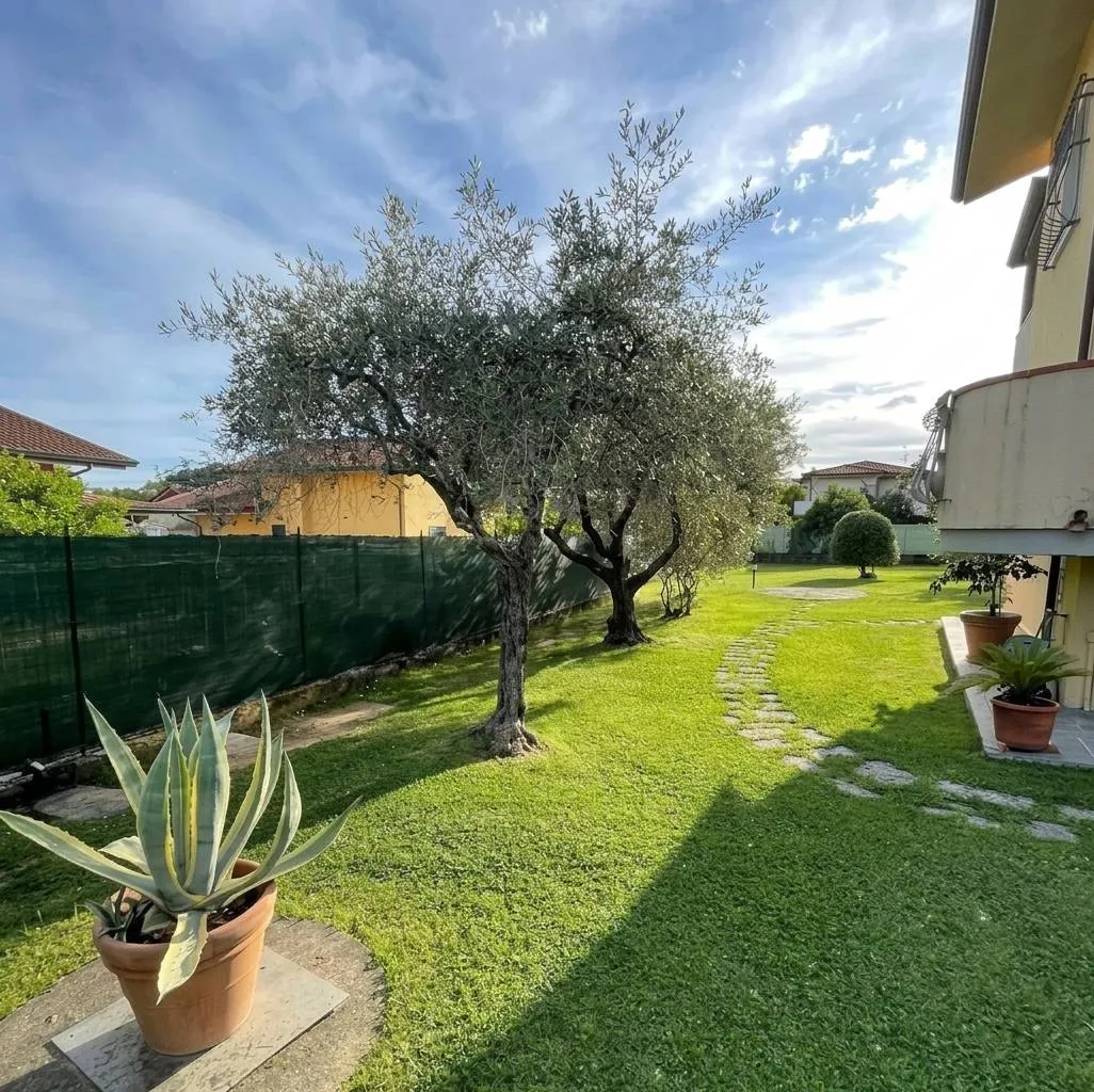 Appartamento in vendita a Massa - foto 3