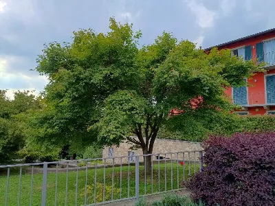 Appartamento in vendita a Montorfano - foto 8