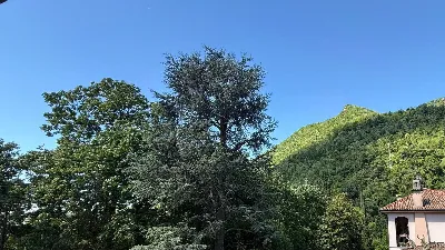 Appartamento in vendita a Ponte Lambro - foto 9