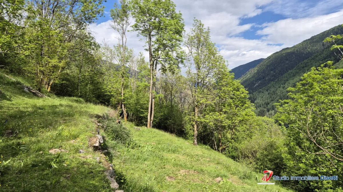 Rustico/Casale in vendita a Incudine - foto 4