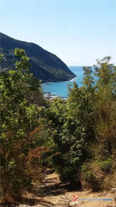 Appartamento in vendita a Moneglia - foto 10