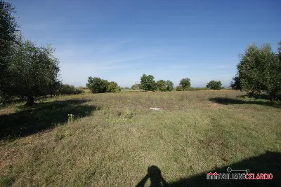 Villa in vendita a Colle di Val d'Elsa - foto 2