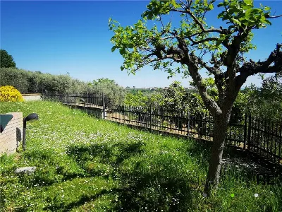 Villa in vendita a Torrevecchia Teatina - foto 5